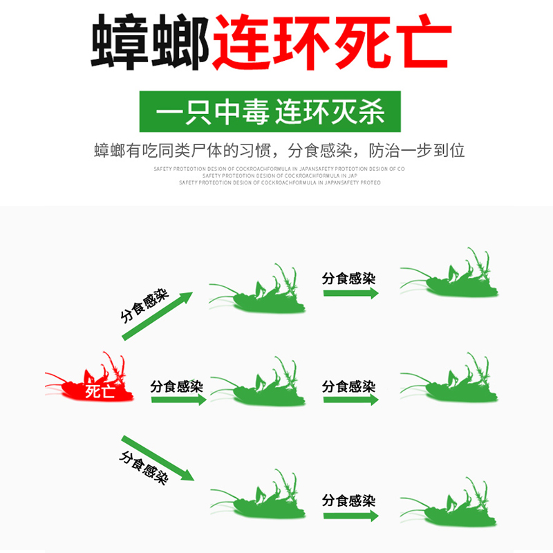 除蟑螂药10袋全窝家用非无毒粉强力绝杀一锅端灭室内诱饵剂神器 - 图1