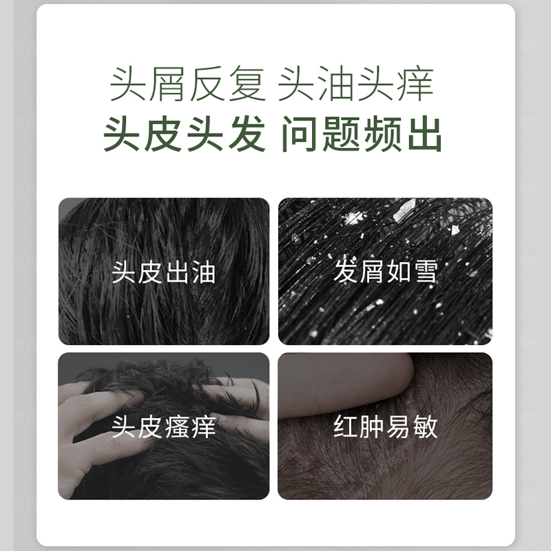 菲诗蔻桉树洗发水护发套装无硅油去屑止痒控油蓬松柔顺保湿膏正品