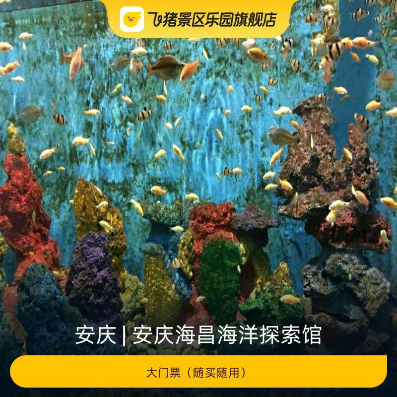 [安庆海昌海洋探索馆-大门票]