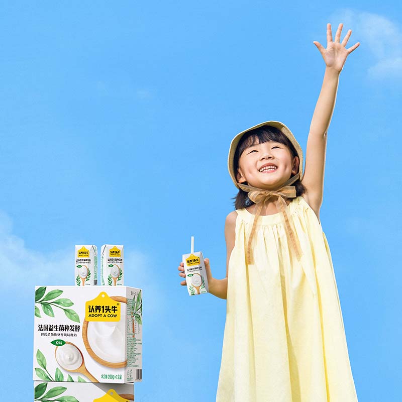 认养一头牛常温原味法式酸奶200g*12盒*2箱风味酸奶