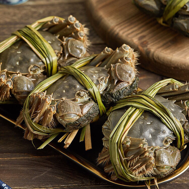 ٽۡ88VIP ֻ̳Ǻբз1.8-2.0ȫĸз8ֻ