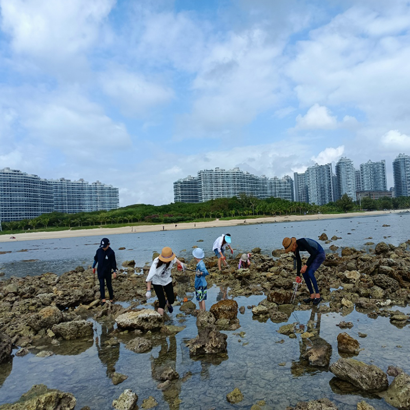 三亚赶海亲子大小东海情人湾蜈支洲后海赶海捉虾捡拾螃蟹-图2