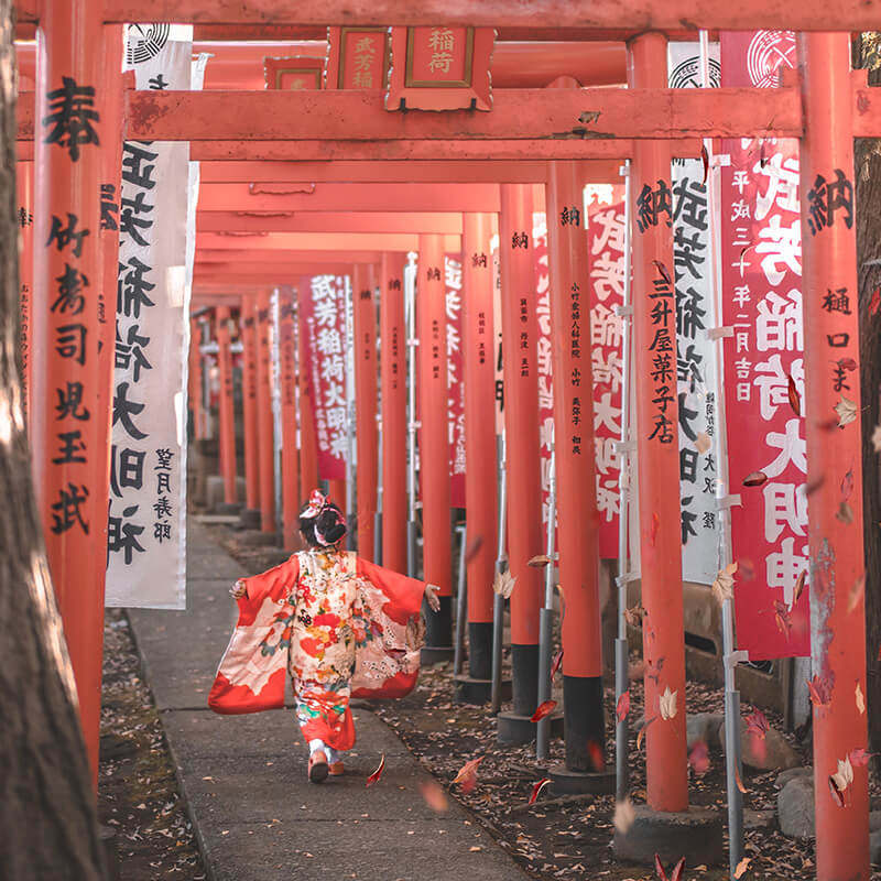 日本·单次旅游签证·广州送签·【简化无套路拒签退】高出签优质服务加急电子签个人旅行【风华国旅大品牌】,淘宝优惠券,粉丝福利购,淘宝优惠卷