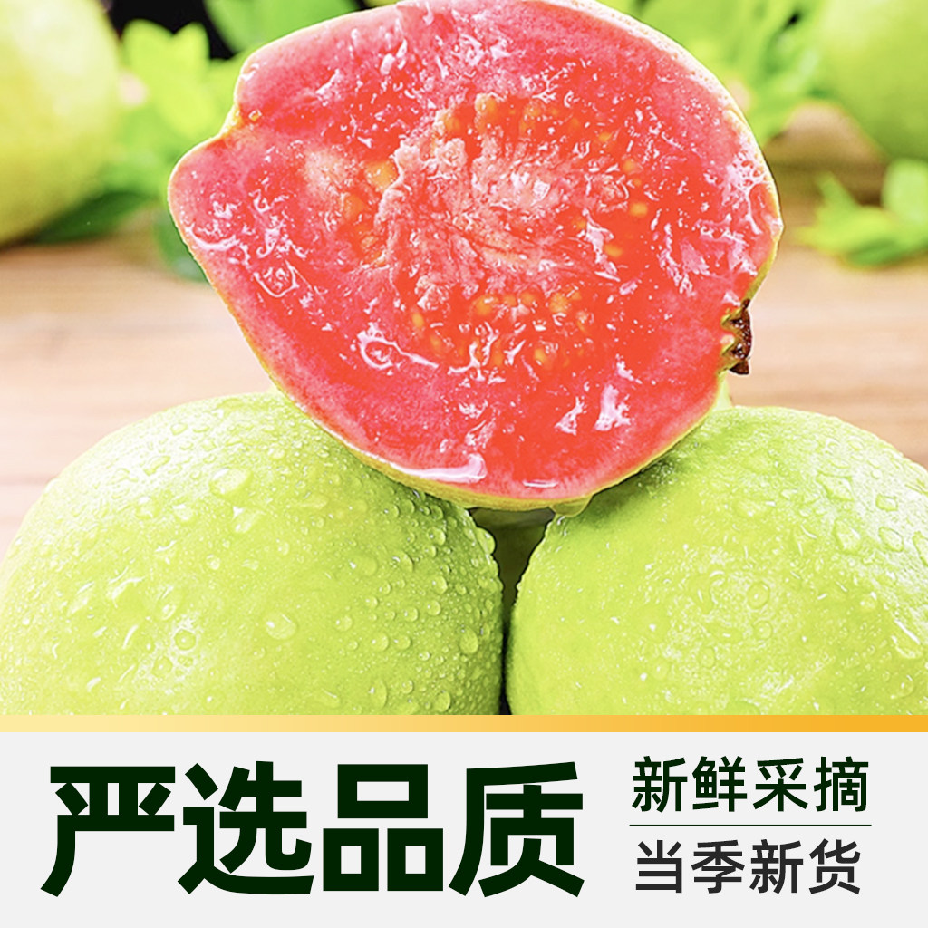 福建红心芭乐番石榴脆甜多汁热带新鲜当季水果芭乐果整箱