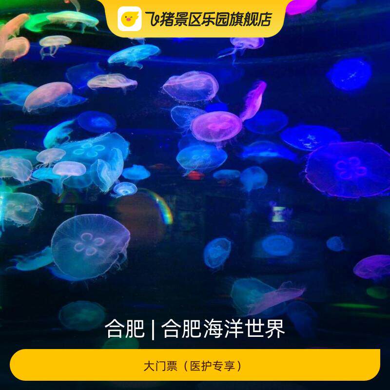 [合肥海洋世界-大门票（医护专享）]