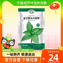 Suo Wo Palan grass large leaves Vegetable Seeds 20g Bagled vegetable seed Rapeseed Vegetable toss Four Seasons