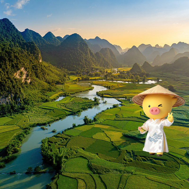 越南·十五天单次入境·上海送签·【飞猪官方直营】越南签证另纸签证加急个人旅游商务电子签证落地批文,淘宝优惠券,粉丝福利购,淘宝优惠卷