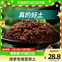 Stanley Green Loe Soil Nutritional Soil Home Green Baskets Special Earth Indoor Flowers Soil Breeding Earth Cultivation Cultivation Earth