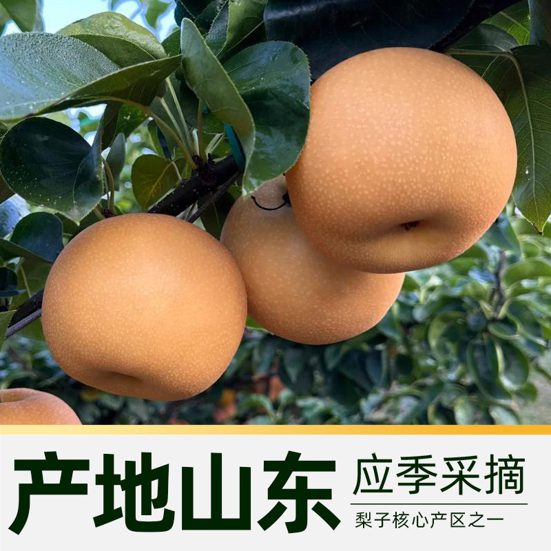图 3