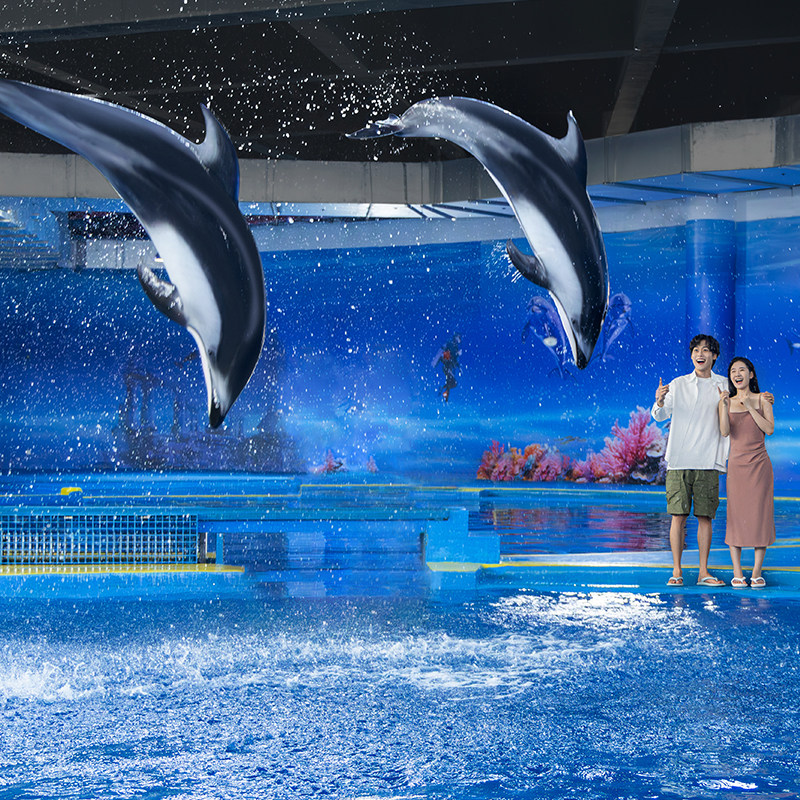 海豚亲密时光亲子套票（1大1小）+快照3张 - 图3