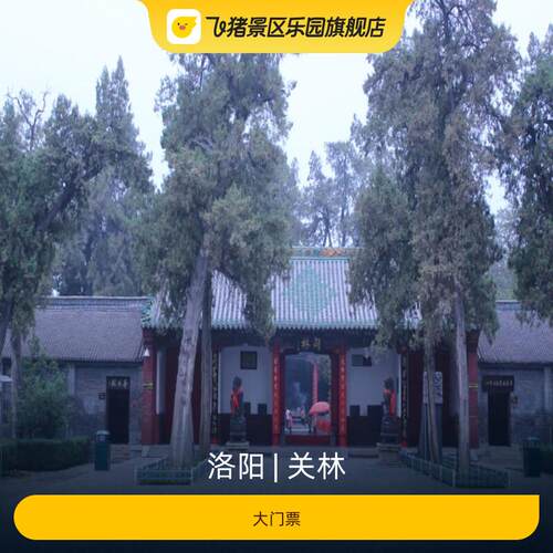 [关林-大门票]