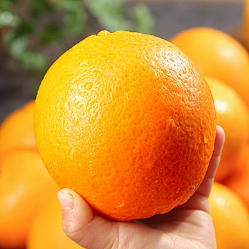 顺丰【猫超】正宗江西赣南脐橙5斤[1元优惠券]-寻折猪