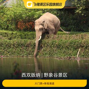 [野象谷景区-大门票+单程索道]