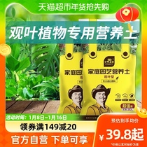 (one) Stanley view leaf type green plant special nutrient soil indoor potted plant soil seed green plant