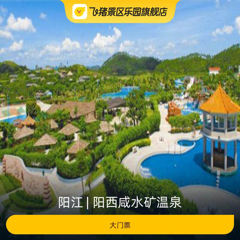 [阳西咸水矿温泉-大门票]