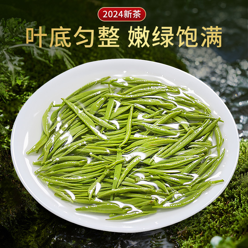 2024年新茶乐品乐茶毛尖绿茶叶明前特级正宗浓香茶一芽一叶250g-图2