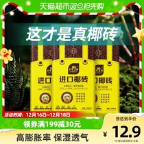 () Stanley coconut broccoli Coconut Clay Brick Coconut Brick 650g Nourishing Native and Desalinated Floral Universal