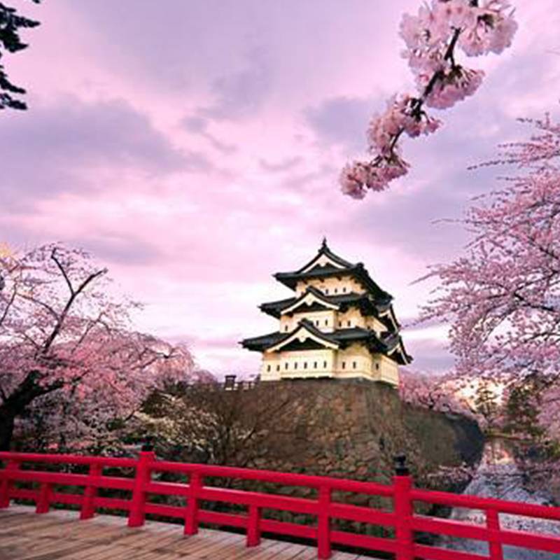 日本大阪京都奈良神户宇治一日地接旅游用车大阪环球影城接送-图2