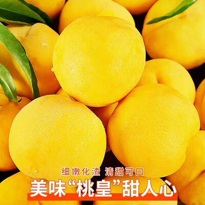 正宗砀山黄桃新鲜水果当季蜜桃整箱包邮可脆可软桃子黄毛桃4.5斤