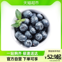 Peruvian sweet blueberry big fruit diameter about 18mm 125g boxes fresh fruit