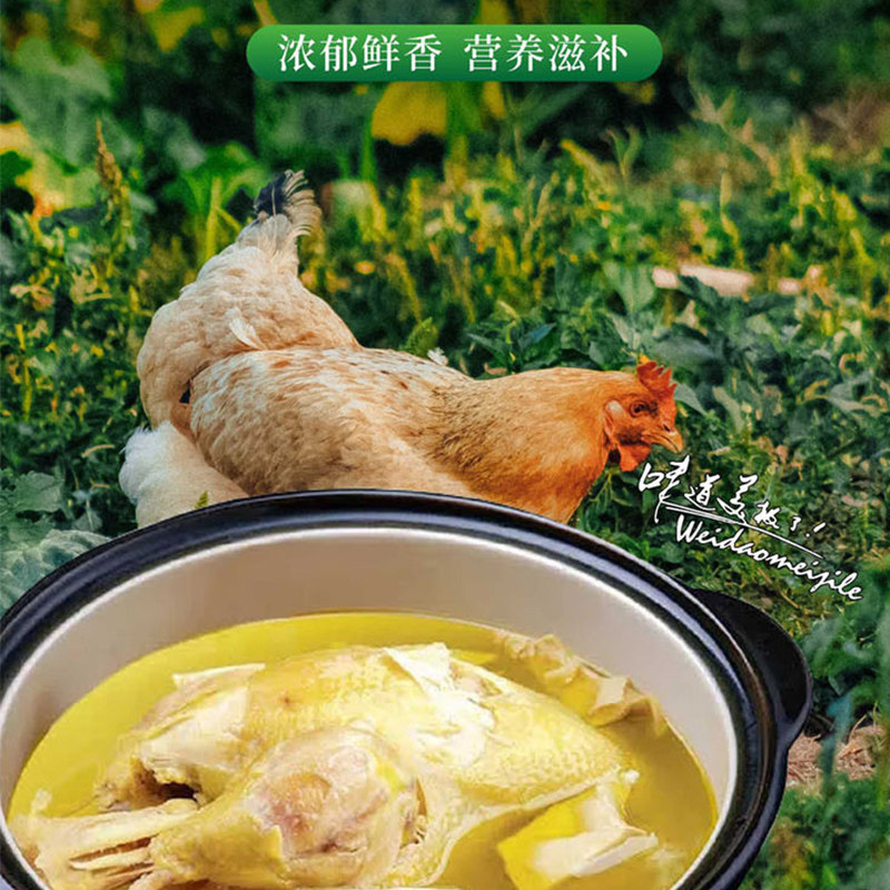 三物纪正宗新鲜皖南黄油老母鸡土鸡土鸡农家整鸡顺丰包邮,淘宝优惠券,粉丝福利购,淘宝优惠卷
