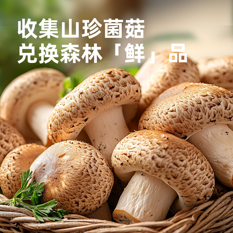 海天蚝油鲜味蚝油1kg挤压蚝油调料炒菜提鲜提味家用厨房