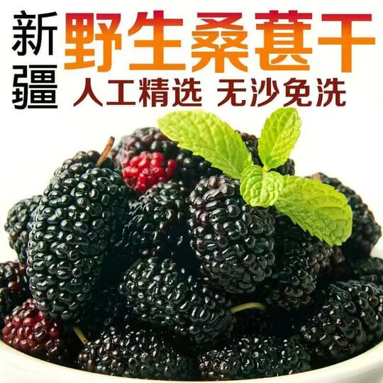 新疆野生黑桑葚免洗无沙桑新疆桑葚干罐装特级大果直泡茶泡水