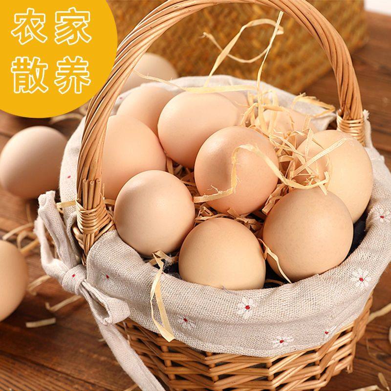 顺丰珍珠棉-50枚正宗土鸡蛋笨鸡蛋新鲜原生态五谷山林散养柴鸡蛋,淘宝优惠券,粉丝福利购,淘宝优惠卷