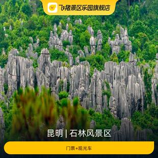 [石林风景区-门票+观光车]