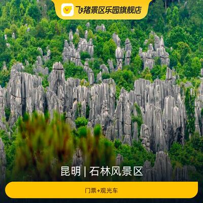 [石林风景区-门票+观光车]