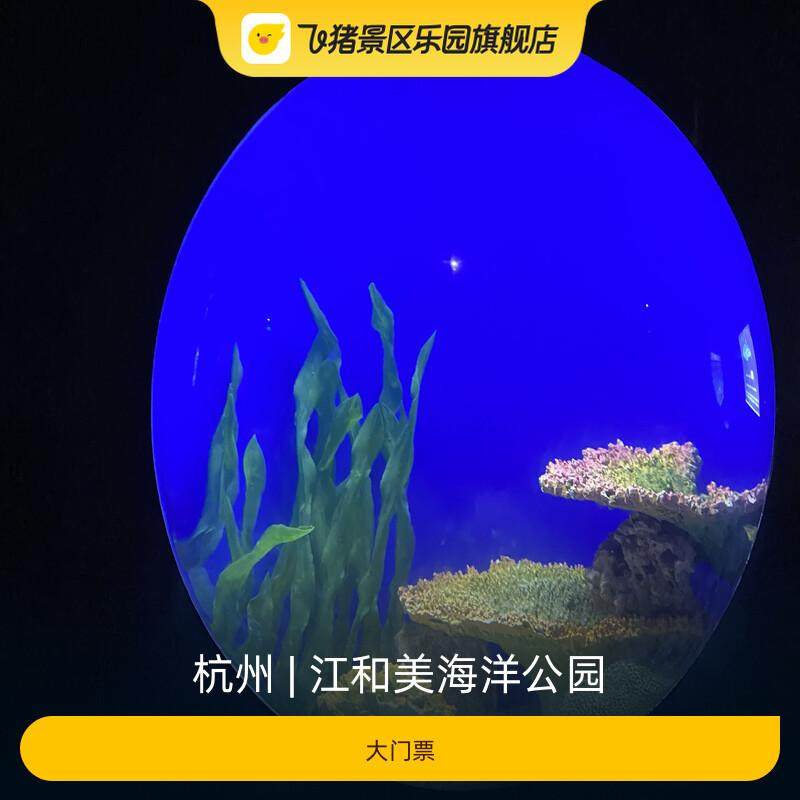 [江和美海洋公园-大门票]