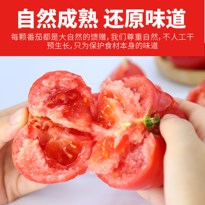 哪咤豆豆普罗旺斯番茄生吃西红柿2.25kg沙瓤自然熟新鲜水果番茄