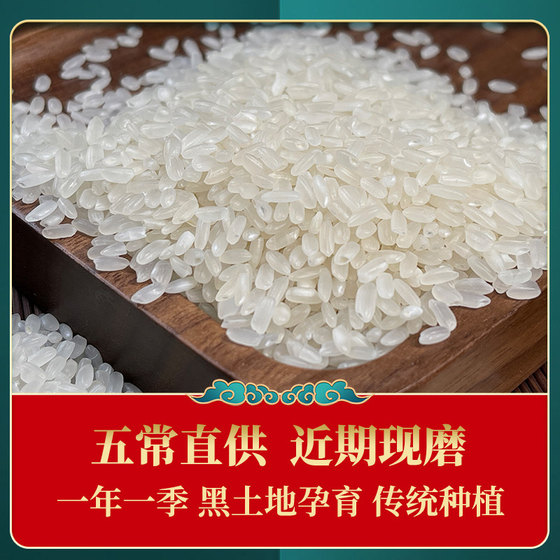 [2024年新米]壹升善粮东北大米五常大米5kg*2袋GB/T19266真空包装