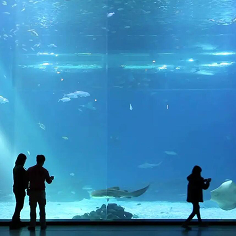 [济州Aqua Planet水族馆-大门票]济州岛水族馆门票 海洋海底世界 - 图0