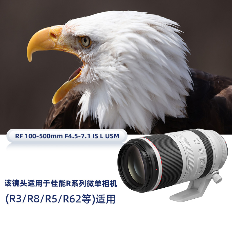 Canon/佳能RF100-500mm F4.5-7.1 L IS USM 微单镜头适用R5/6/7/8 - 图1