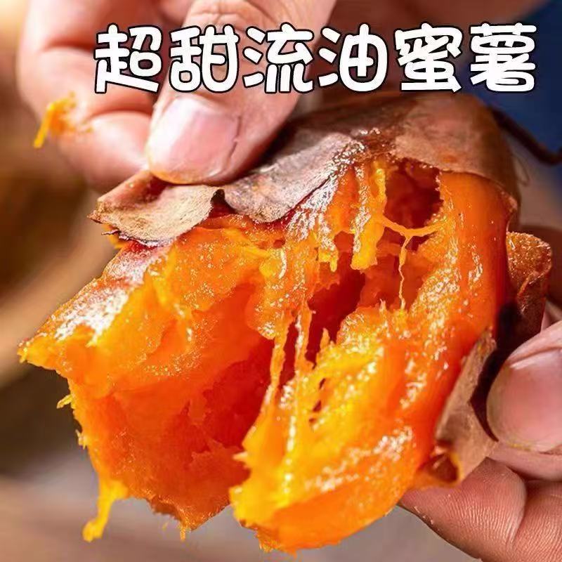 Authentic sandy watermelon, red sweet potato, sandy sweet potato, freshly dug yellow and red heart sweet potato, sweet potato, sweet potato honey