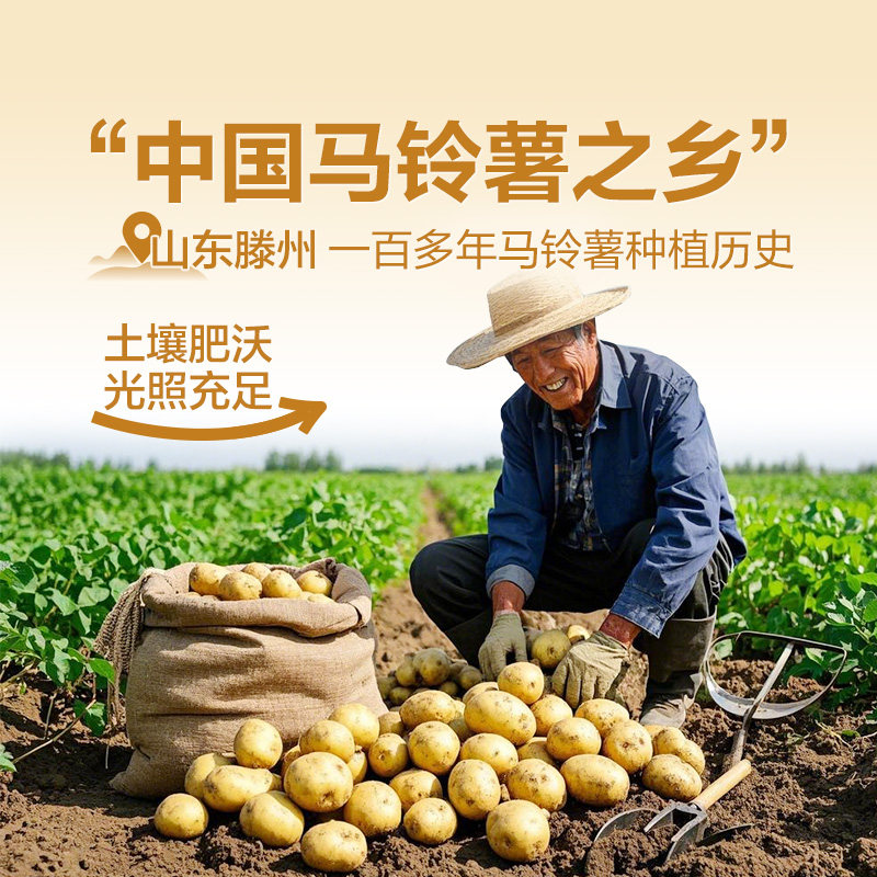 良品铺子酥脆薄饼海苔味300g*2零食薄脆饼干营养早餐