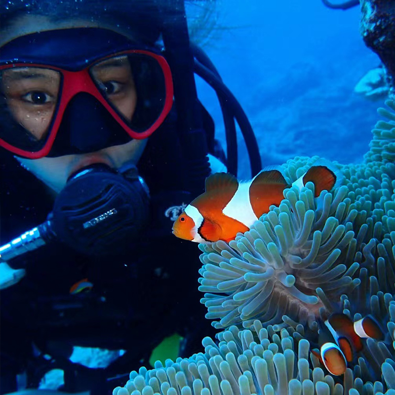 【野生浮点】巴厘岛蓝梦岛一日游出海浮潜深潜水环岛游含船票旅游-图1