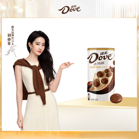 Dove Small Smooth Chocolate