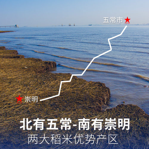新米崇明大米5kg*2袋香稻米真空锁鲜珍珠米梗米 - 图1