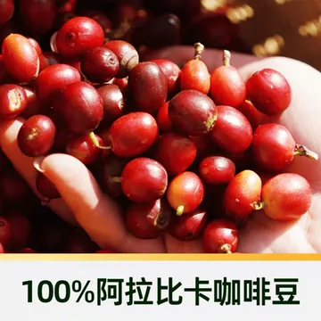 【臻选】永璞醇粹黑咖啡18g*50杯桶装[25元优惠券]-寻折猪