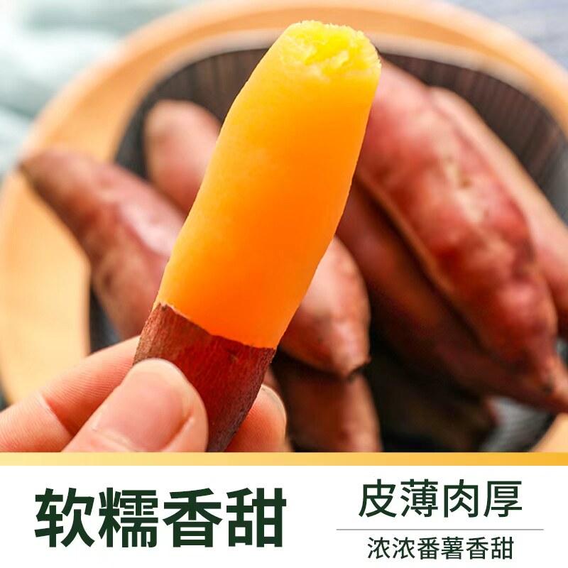 顺丰上门薯小萌天目山小香薯新鲜现挖皮薄粉糯香甜精选小果蒸煮用