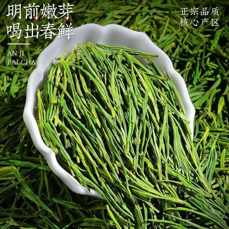 2025新茶正宗珍稀白茶高山绿茶嫩芽明前高档品质茶 - 图1