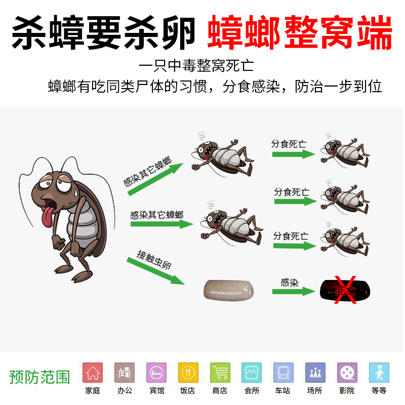 3盒家用一窝全窝端无毒饭店蟑螂药 天猫超市灭鼠/杀虫剂
