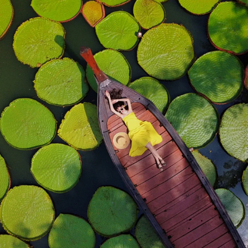 云南定制旅行-西双版纳基诺山徒步5天4晚纯玩野象谷中科植物园,淘宝优惠券,粉丝福利购,淘宝优惠卷