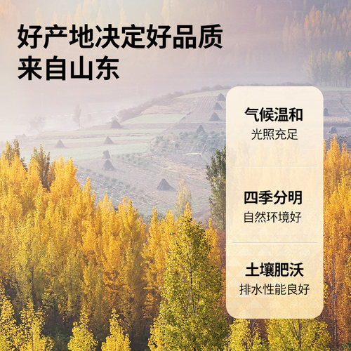 同仁堂品牌 北京同仁堂玫瑰花茶干花重瓣桂圆枸杞女 - 图1