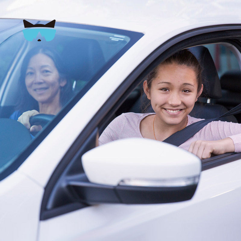 懒猫旅行 马来西亚旅游 吉隆坡接机送机槟城接送机中文司机服务,淘宝优惠券,粉丝福利购,淘宝优惠卷