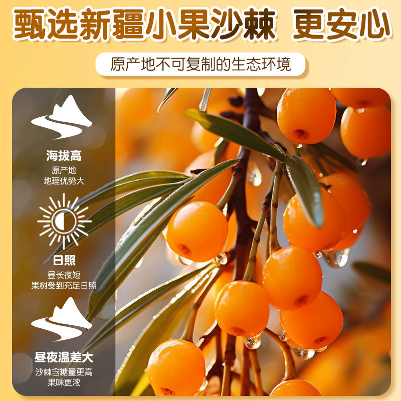 【顺丰包邮】沙棘原浆新疆有机小果富含VC鲜榨油汁官方旗舰正品店,淘宝优惠券,粉丝福利购,淘宝优惠卷