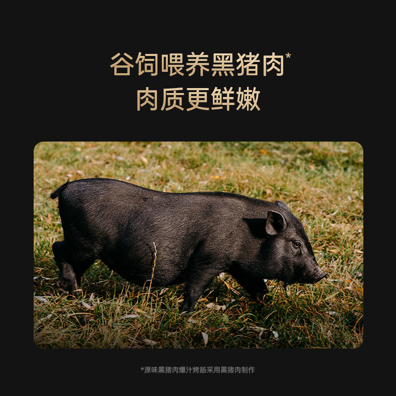 锋味派原味黑猪肉爆汁烤肠地道肉肠纯肉火山石香肠即食空气炸锅,淘宝优惠券,粉丝福利购,淘宝优惠卷