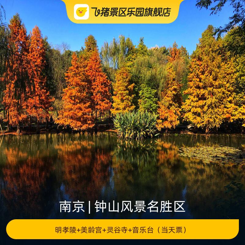 [钟山风景名胜区-明孝陵+美龄宫+灵谷寺+音乐台（当天票）]